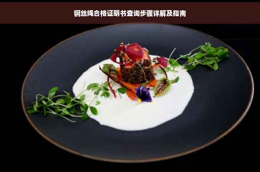 钢丝绳合格证明书查询步骤详解及指南