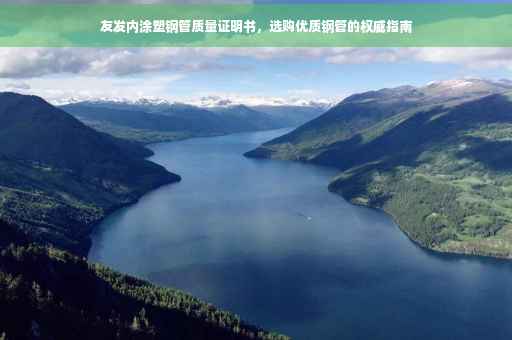 友发内涂塑钢管质量证明书，选购优质钢管的权威指南