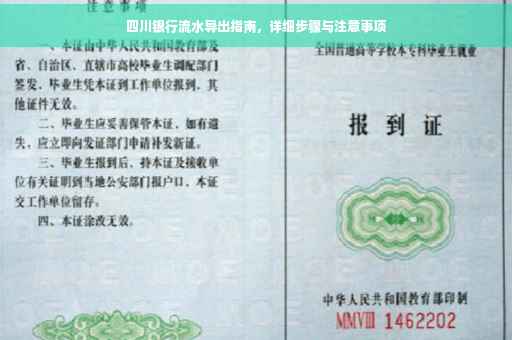 四川银行流水导出指南，详细步骤与注意事项