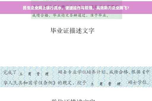民生企业网上银行流水，便捷操作与管理，高效助力企业腾飞?