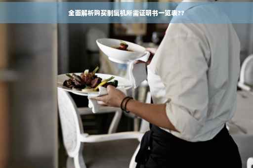 全面解析购买制氢机所需证明书一览表??