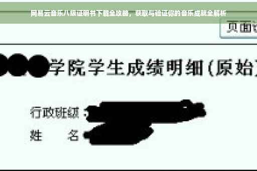 网易云音乐八级证明书下载全攻略，获取与验证你的音乐成就全解析