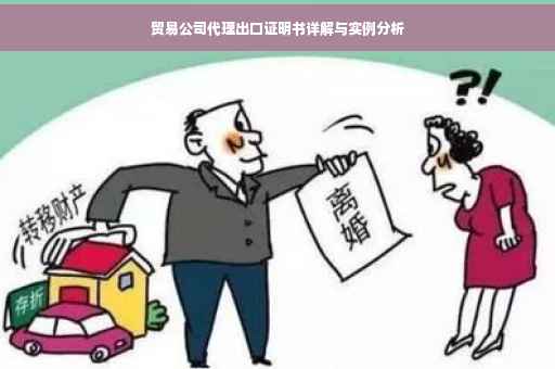 贸易公司代理出口证明书详解与实例分析