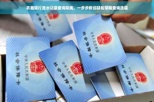 农商银行流水记录查询指南，一步步教你轻松掌握查询流程