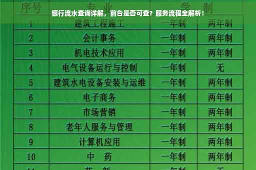 银行流水查询详解，前台是否可查？服务流程全解析！