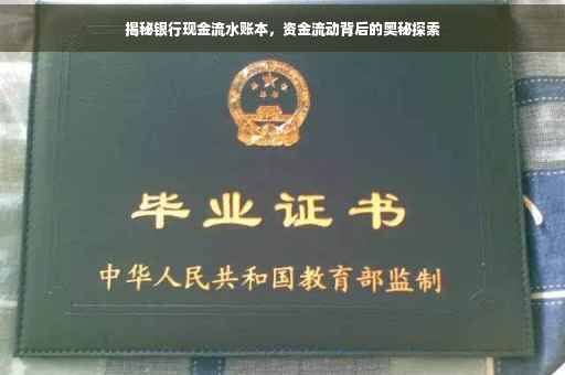 揭秘银行现金流水账本，资金流动背后的奥秘探索