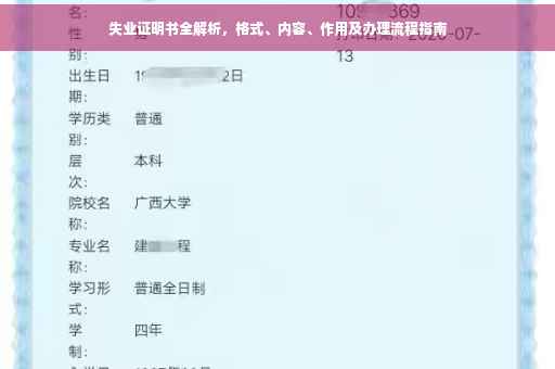 失业证明书全解析，格式、内容、作用及办理流程指南