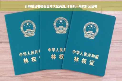 计算机证书模板图片大全高清,计算机一级发什么证书