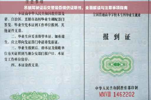 吊销驾驶证后交警是否提供证明书，全面解读与注意事项指南
