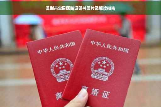深圳市宝田医院证明书图片及解读指南