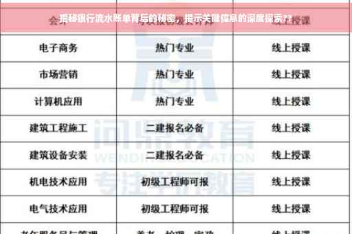 揭秘银行流水账单背后的秘密，揭示关键信息的深度探索??