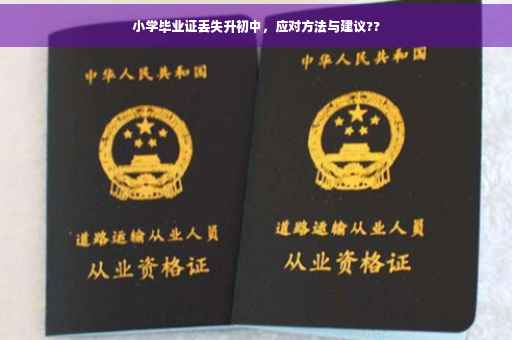 小学毕业证丢失升初中，应对方法与建议??