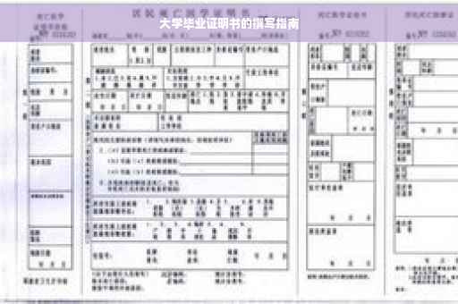大学毕业证明书的撰写指南