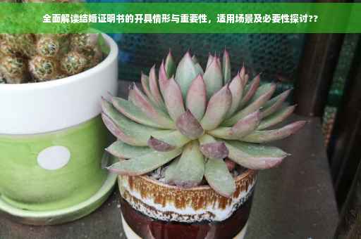 全面解读结婚证明书的开具情形与重要性，适用场景及必要性探讨??