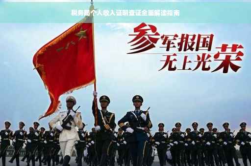 税务局个人收入证明查证全面解读指南