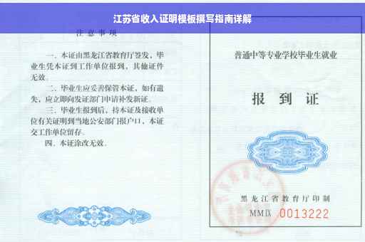 江苏省收入证明模板撰写指南详解