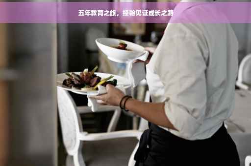 五年教育之旅，经验见证成长之路