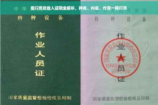 银行贷款收入证明全解析，种类、内容、作用一网打尽