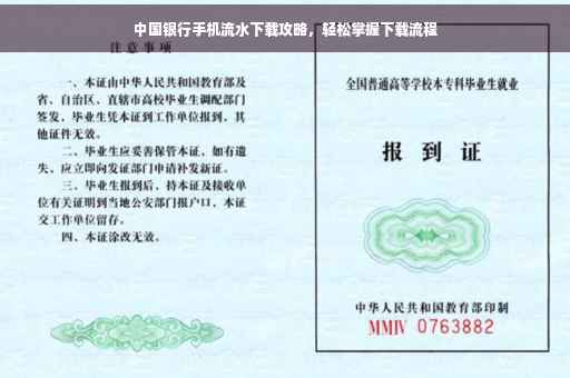 中国银行手机流水下载攻略，轻松掌握下载流程