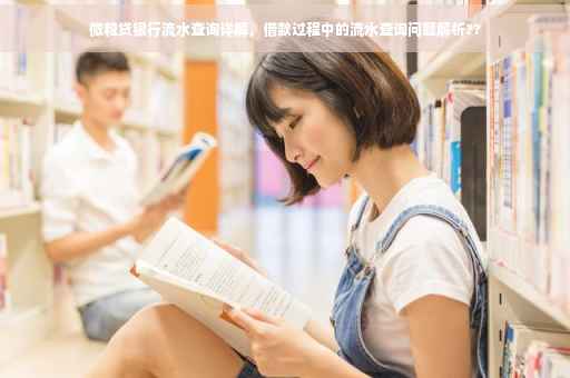 微粒贷银行流水查询详解，借款过程中的流水查询问题解析??