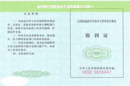 应对银行借款流水不足的策略与方案??
