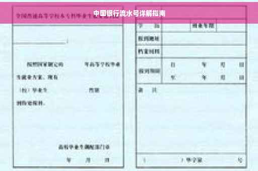 中国银行流水号详解指南