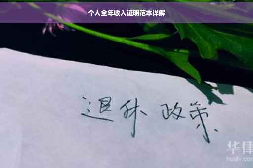个人全年收入证明范本详解