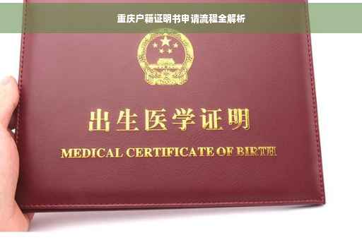 重庆户籍证明书申请流程全解析