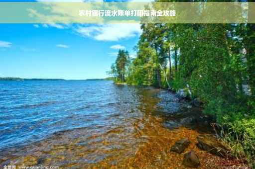 农村银行流水账单打印指南全攻略