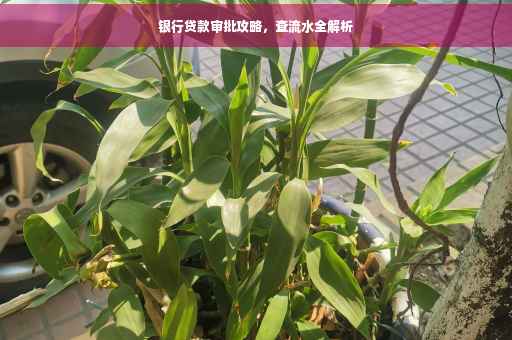 银行贷款审批攻略，查流水全解析