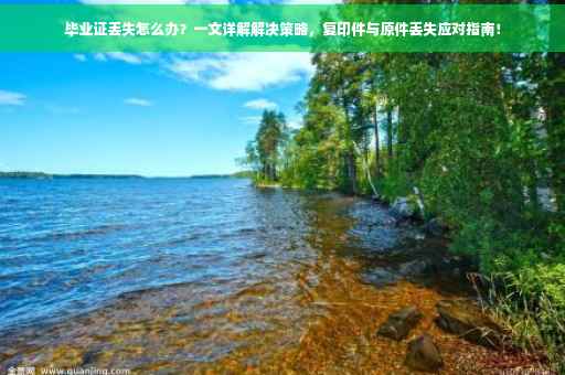 毕业证丢失怎么办？一文详解解决策略，复印件与原件丢失应对指南！