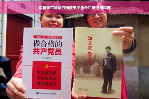 车祸死亡证明书模板电子版介绍与使用指南