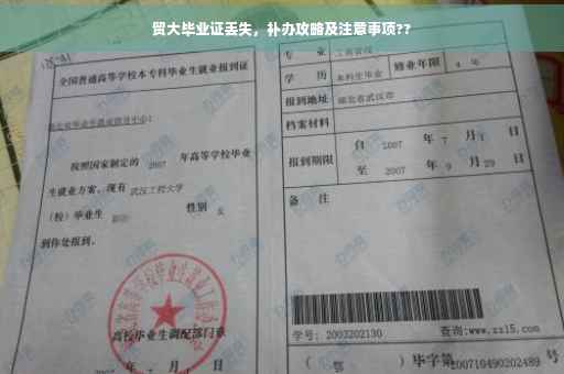 贸大毕业证丢失，补办攻略及注意事项??