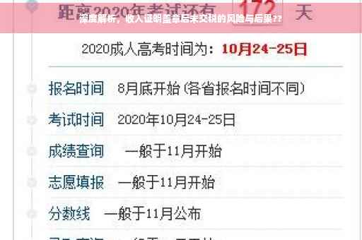深度解析，收入证明盖章后未交税的风险与后果??