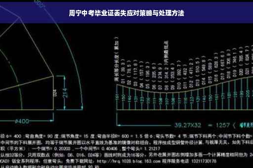 周宁中考毕业证丢失应对策略与处理方法