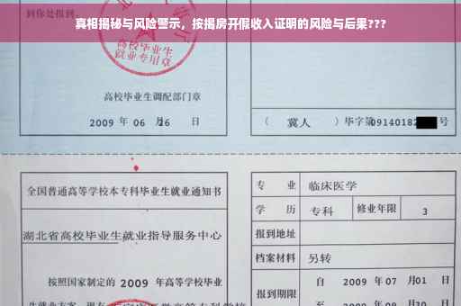 真相揭秘与风险警示，按揭房开假收入证明的风险与后果???