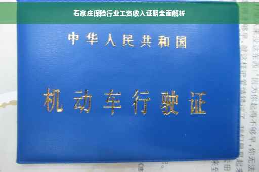 石家庄保险行业工资收入证明全面解析
