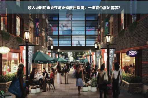 收入证明的重要性与正确使用指南，一张能否满足需求？