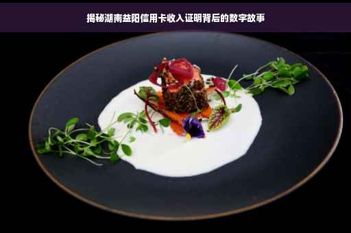 揭秘湖南益阳信用卡收入证明背后的数字故事