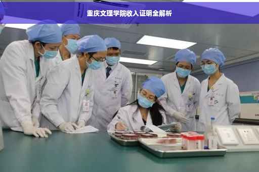 重庆文理学院收入证明全解析