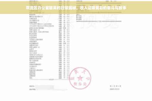 双流区办公室精英的日常揭秘，收入证明背后的奋斗与故事