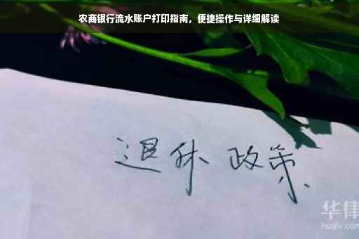 农商银行流水账户打印指南，便捷操作与详细解读