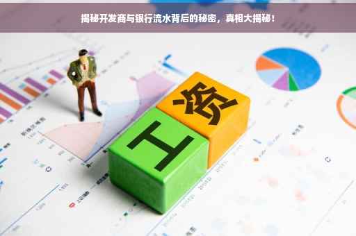 揭秘开发商与银行流水背后的秘密，真相大揭秘！