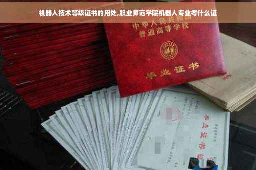 机器人技术等级证书的用处,职业师范学院机器人专业考什么证