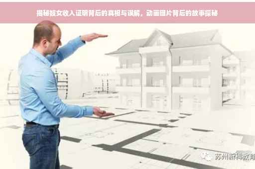 揭秘妓女收入证明背后的真相与误解，动画图片背后的故事探秘