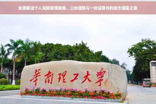 全面解读个人风险管理策略，三份保险与一份证明书的综合保障之道