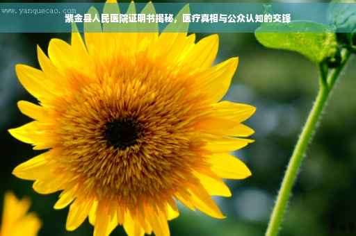 紫金县人民医院证明书揭秘，医疗真相与公众认知的交锋