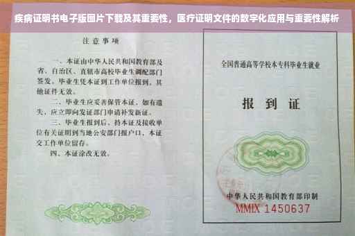 疾病证明书电子版图片下载及其重要性，医疗证明文件的数字化应用与重要性解析