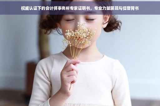 权威认证下的会计师事务所专家证明书，专业力量展现与信誉背书
