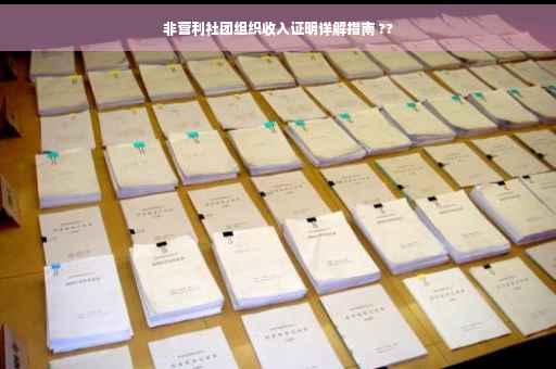 非营利社团组织收入证明详解指南 ??